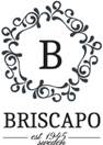Briscapo AB