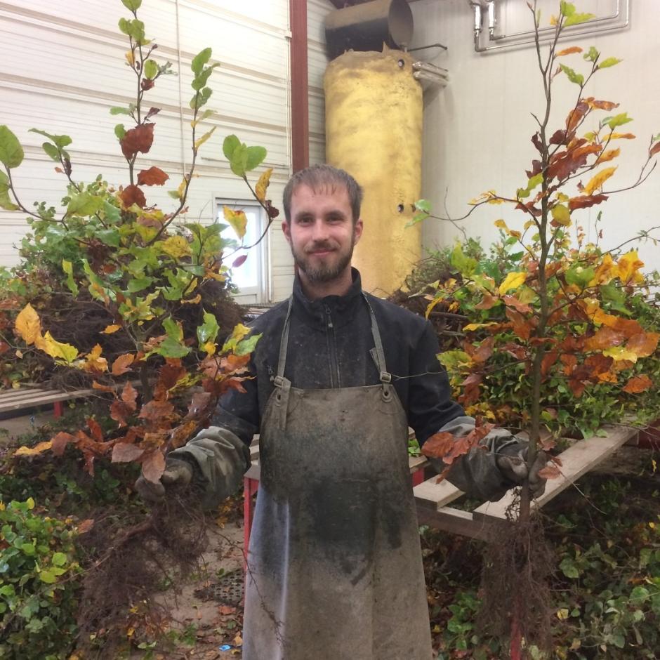 Hækplanter