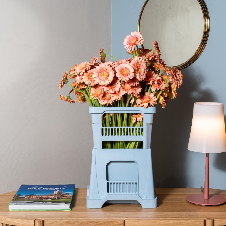Vases