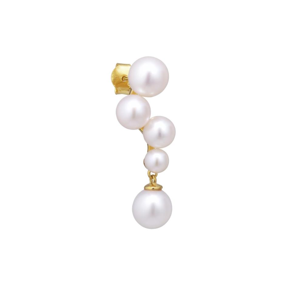 Paloma Stud