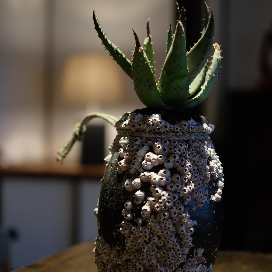 Salvaged pottery octopus pot