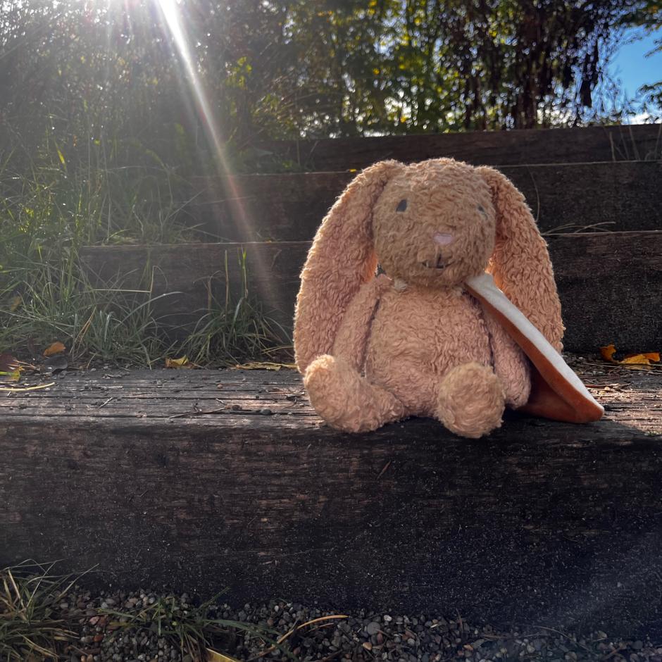 THE LISTENING RABBIT