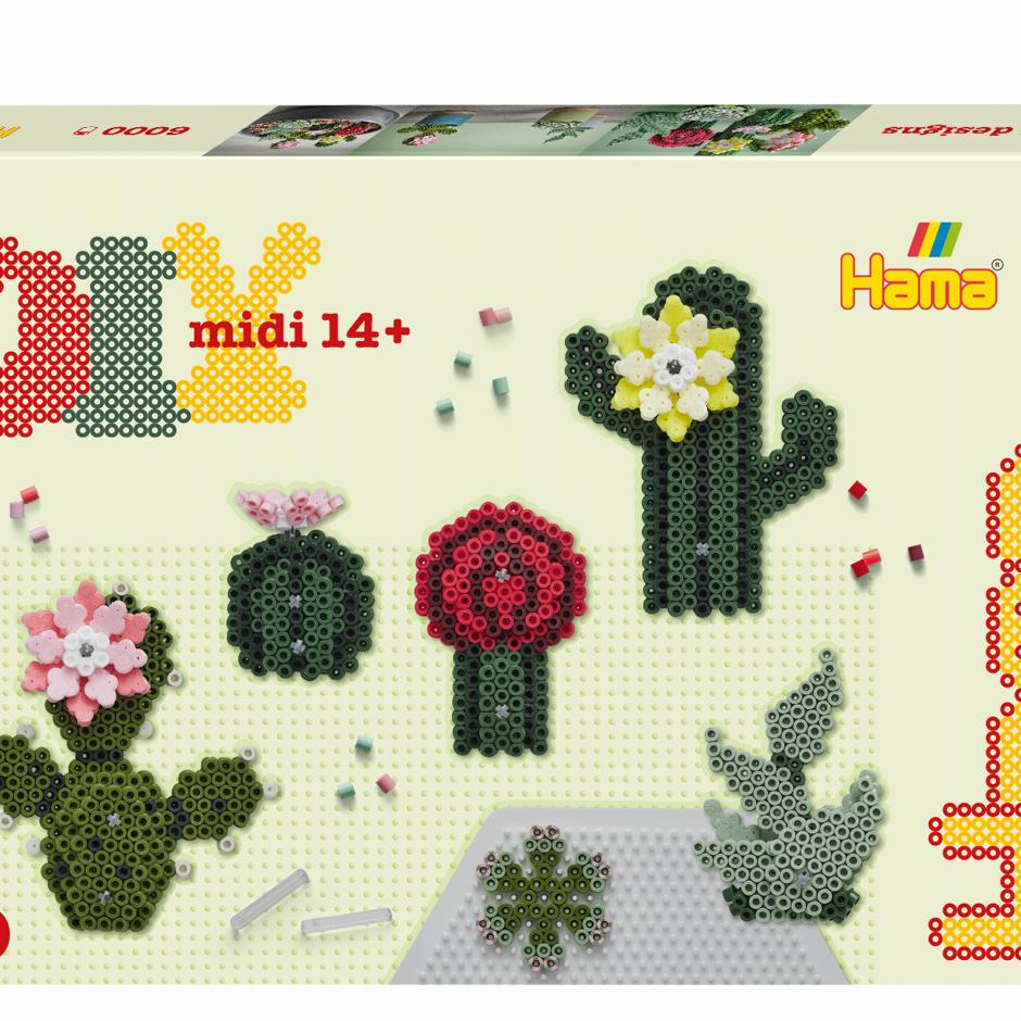 Hama Art - Succulents