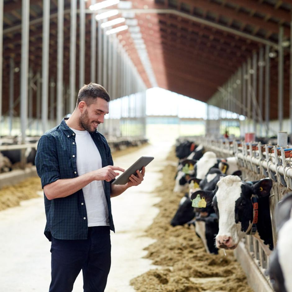 SmartFarming Kvæg