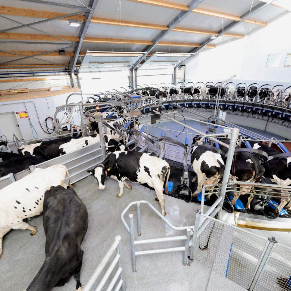 DeLaval malkekarrusel E300